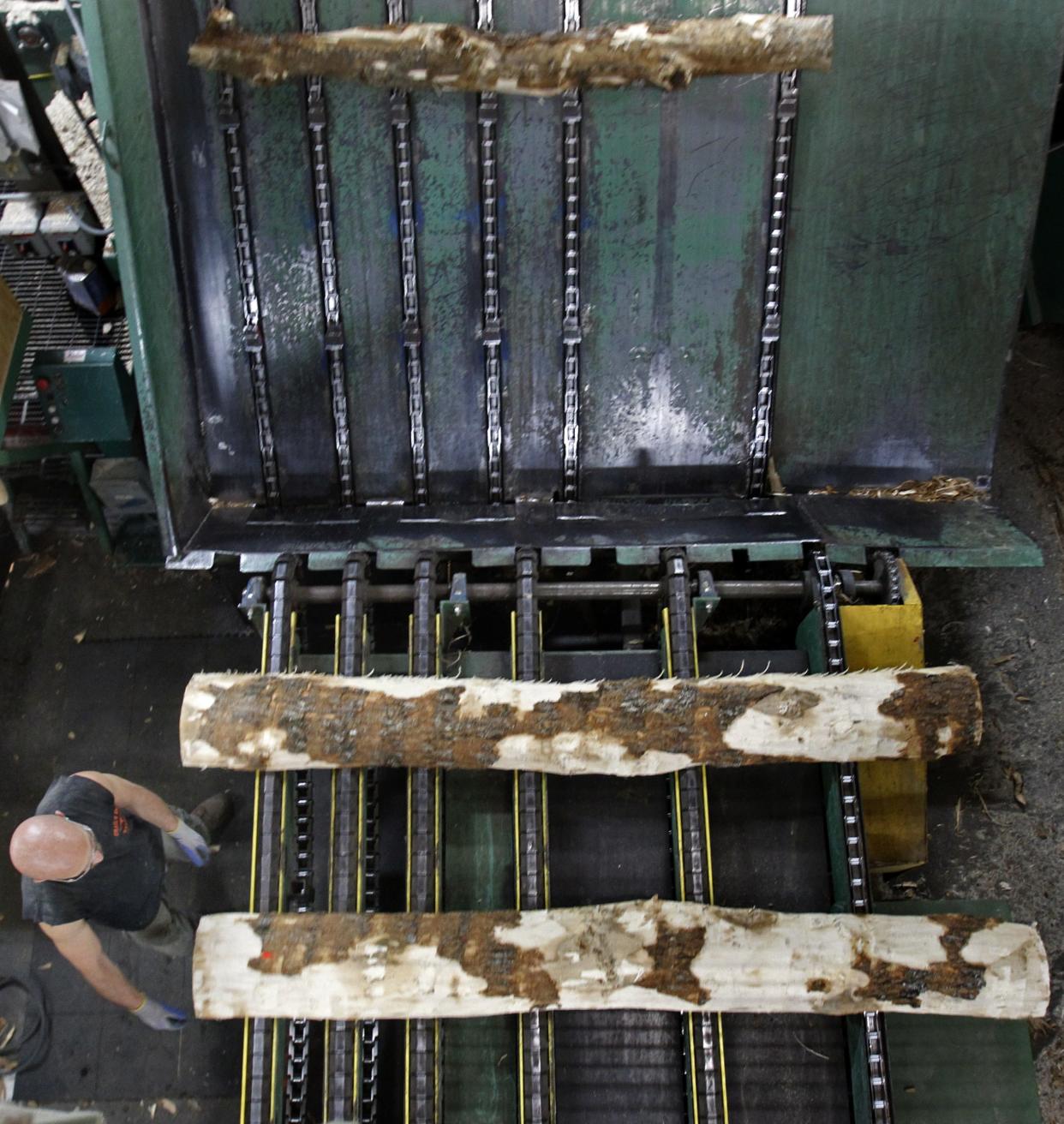 Timber goes through a conveyor system to be cut into boards Aug. 19, 2013, at Florence Hardwoods in Florence, Wis. Federal and state investigations are ongoing at the company after a 16 year old was fatally injured there June 29.