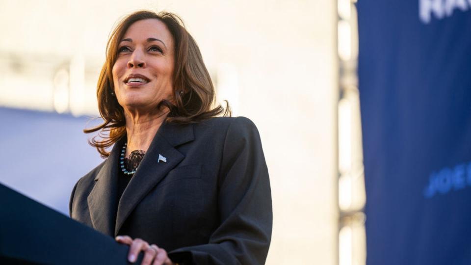 <div>U.S. Vice President Kamala Harris speaks during a First In The Nation campaign rally at South Carolina State University on February 02, 2024 in Orangeburg, South Carolina. (Photo by Brandon Bell/Getty Images)</div>