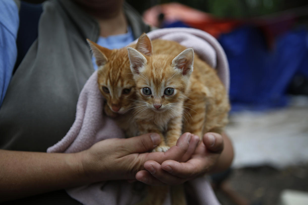 (AP Photo/Rebecca Blackwell)