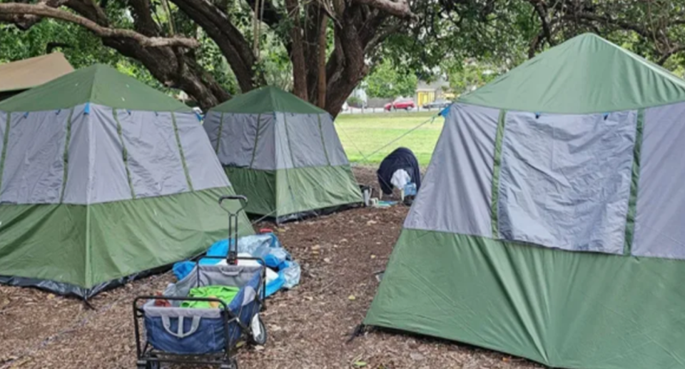 Three tents pictured that are among 60 in Musgrave Park in South Brisbane. 