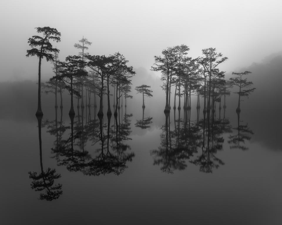 International Landscape Photographer of the Year 2023