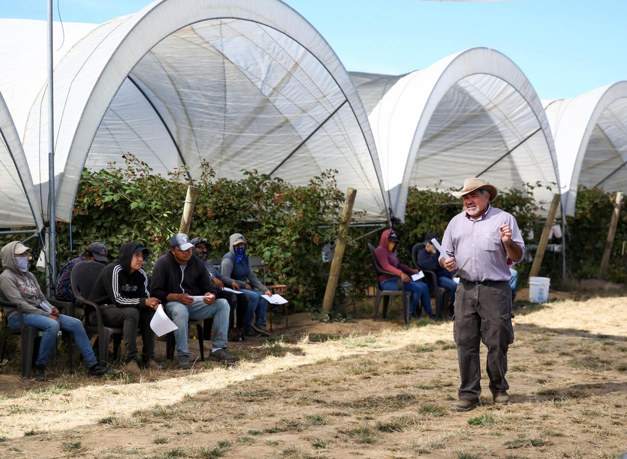 Daniel Quiñones, an outreach worker for migrant and seasonal farmworkers, shares information about OSHA rules and heat illness prevention in August 2021 at Sandy Ridge Berry Farms in Brooks.