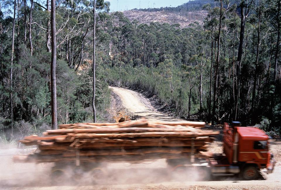 A logging truck in Tasmania.