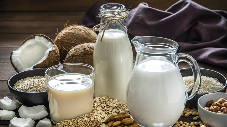 cups of plant milk surrounded by nuts, coconuts and oats