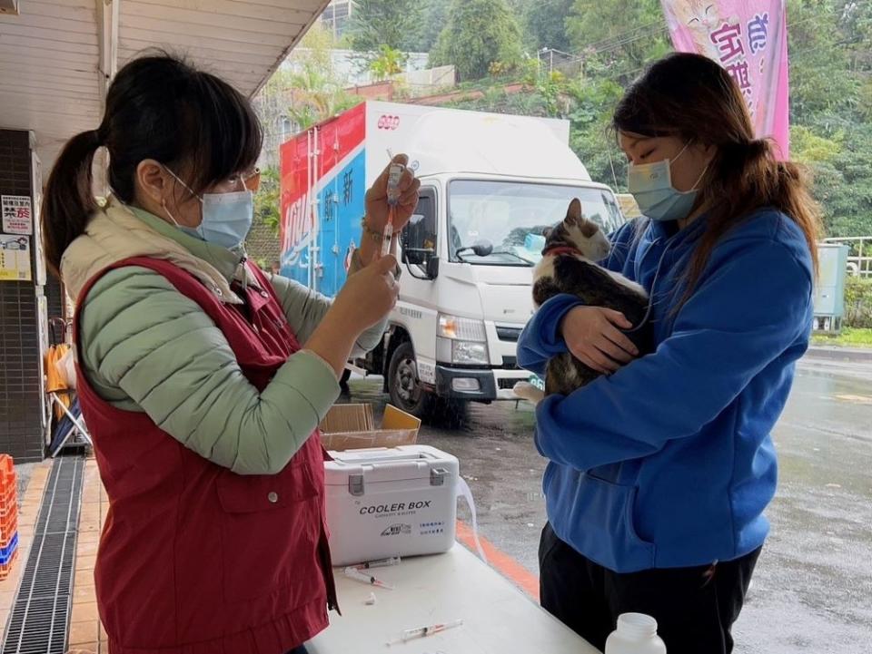 《圖說》參與絕育活動的犬貓須施打狂犬病疫苗、植入晶片及寵物登記。〈動保處提供〉