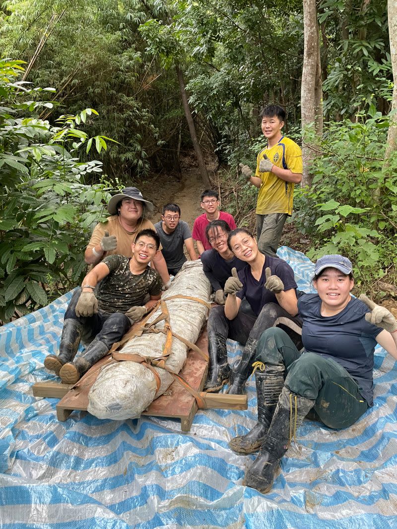 ▲科博館等挖掘團隊將臺灣史上最完整鯨魚化石運回館內。（圖／科博館提供）