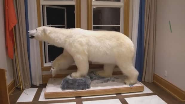 Inside the home, police found what appears to be a stuffed polar bear.