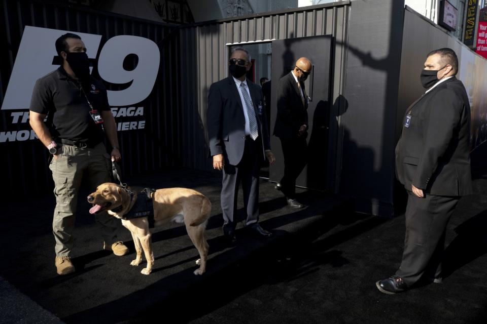 Masked security men in suits and one with a dog stand around