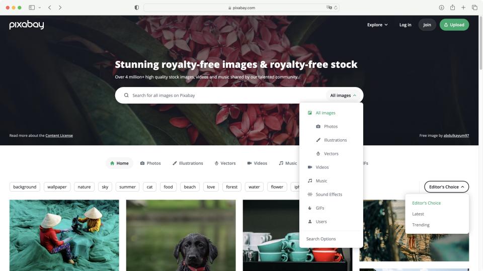 Pixabay royalty-free stock media site during our review process