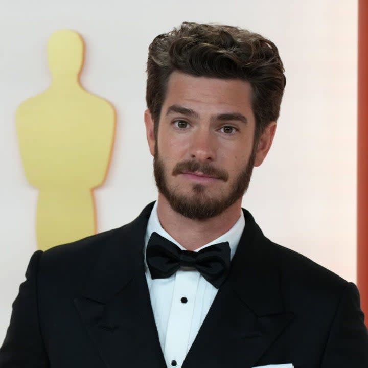 Andrew Garfield poses on the red carpet