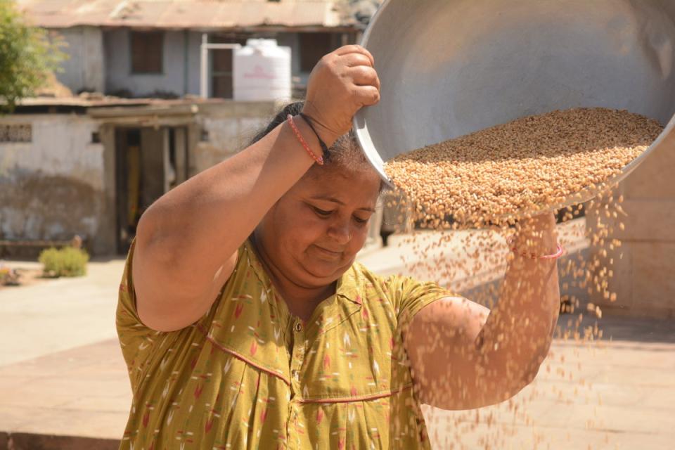 Alpaben Patel, segregating grains to feed her cows, says Modi ‘is the pride of our village’ (Namita Singh/The Independent)