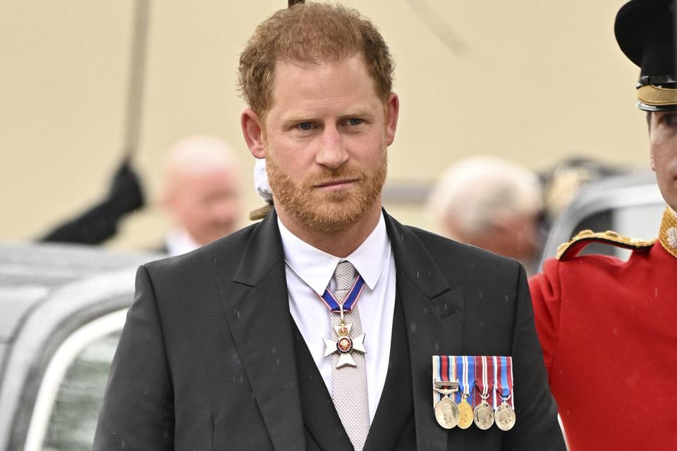Andy Stenning  - WPA Pool/Getty Images Prince Harry