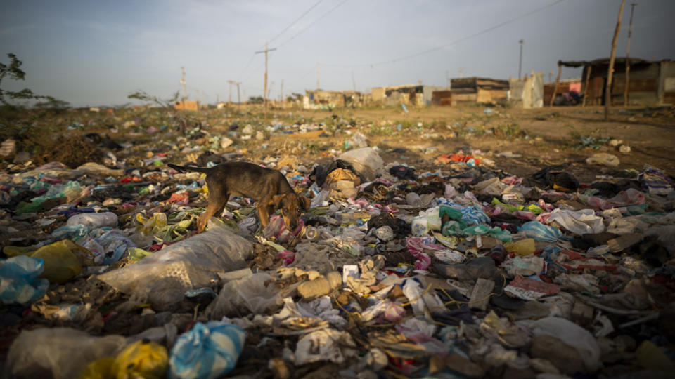 Según datos del Fondo Mundial para la Naturaleza (WWF, por sus siglas en inlgés) y cifras oficiales, Colombia recicla el 8,6% de los residuos que genera, una tasa promedio en América Latina.