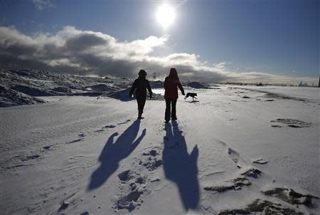 Two women walk their dogs along a frozen snow covered beach in Chicago, Illinois, January 21, 2014. REUTERS/Jim Young