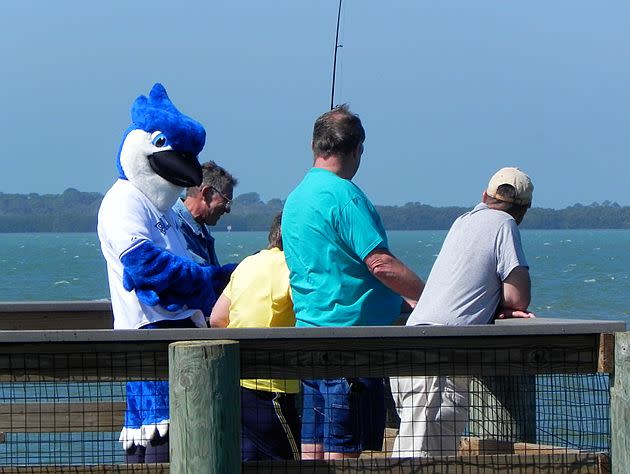 Blue Jays mascot escapes into Florida wild (PHOTOS)