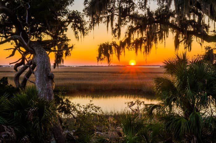 Sunset view with trees framing a marsh, reflecting the setting sun in the water