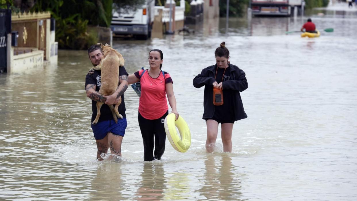 Ein Hund muss nach heftigen Regenfällen über eine überflutete Straße durch den Ort El Raal im Murcia getragen werden. Foto: Alfonso Duran/AP