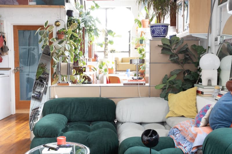 Living area of plant filled apartment.