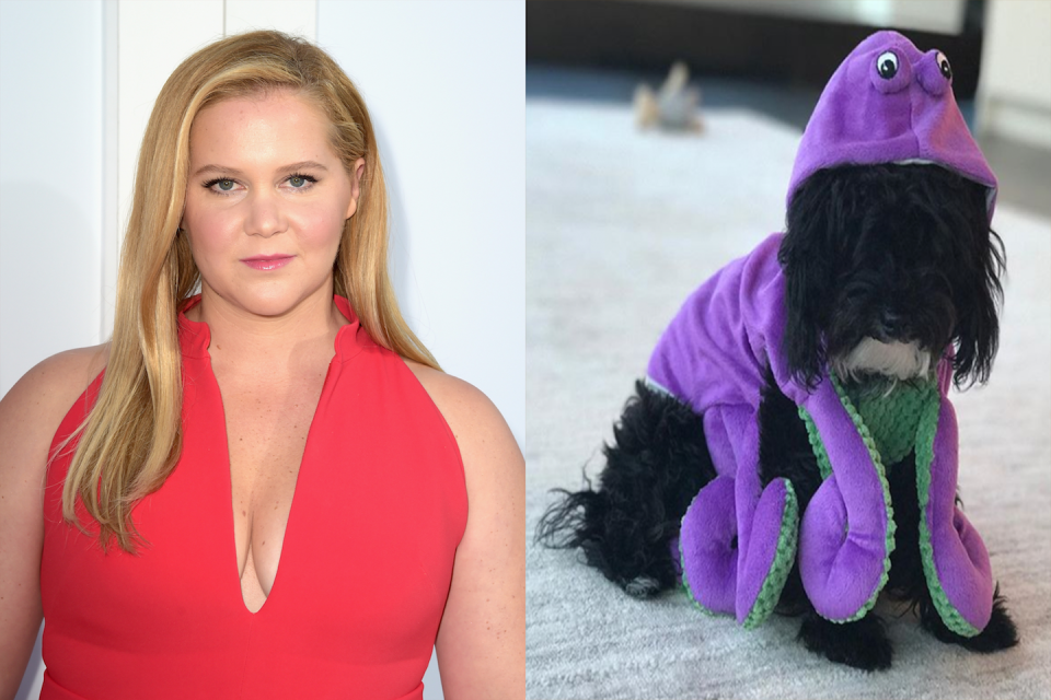 Amy Schumer's Dog, Tati