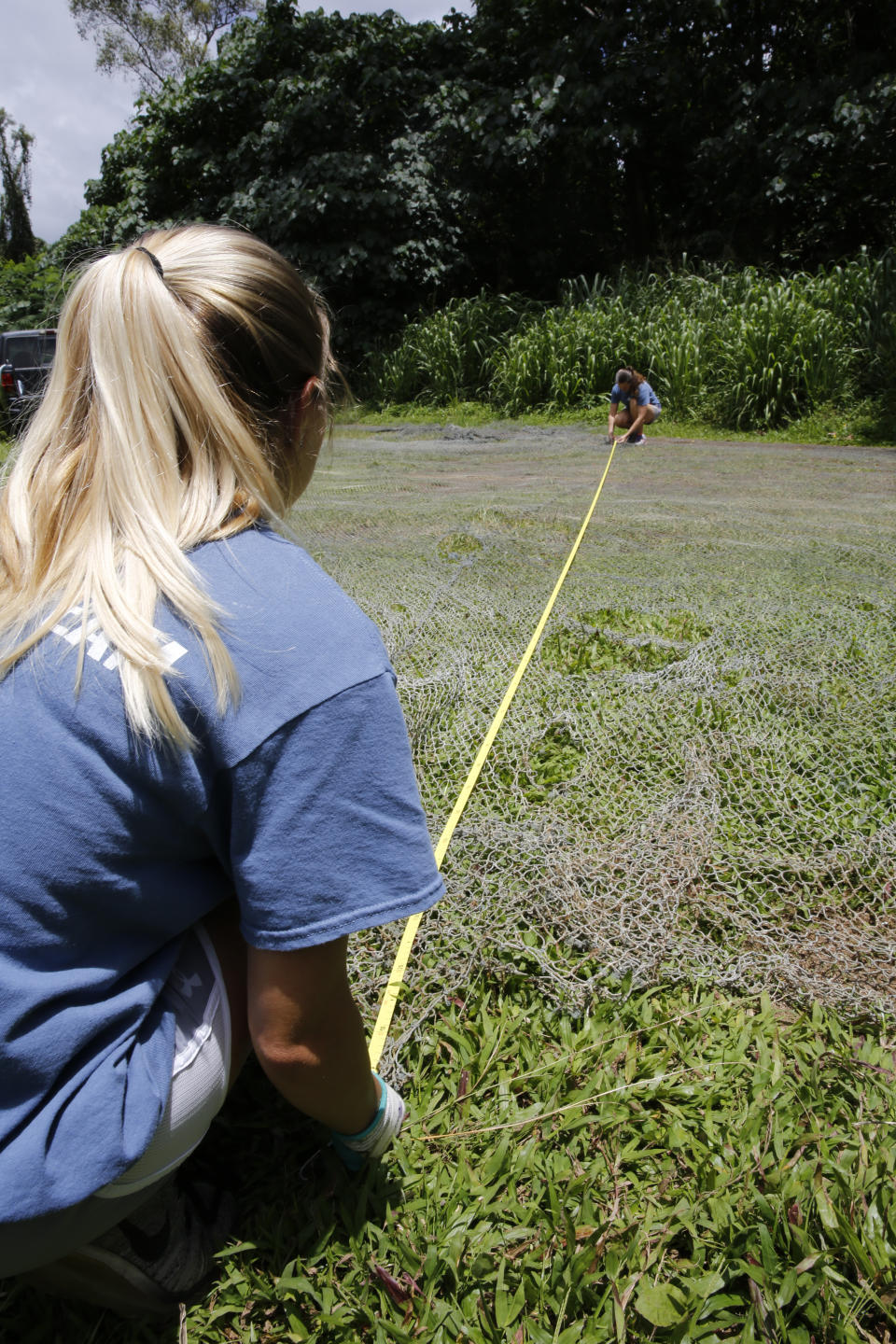 Jennifer Lynch, a research scientist at the National Institute of Standards and Technology and co-director of Hawaii Pacific University's Center for Marine Debris Research, right, and Raquel Corniuk, a research technician at the university, measure a large ghost net on Wednesday, May 12, 2021 in Kaneohe, Hawaii. Researchers are conducting a study that will attempt to trace derelict fishing gear that washes ashore in Hawaii back to the manufacturers and fisheries that it came from. (AP Photo/Caleb Jones)