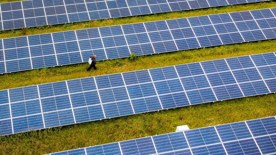 Ein Solarpark in Großbritannien.