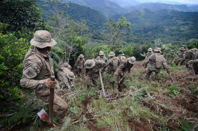 Soldados bolivianos destruyen plantas de coca durante programa de erradicación, Los Yungas