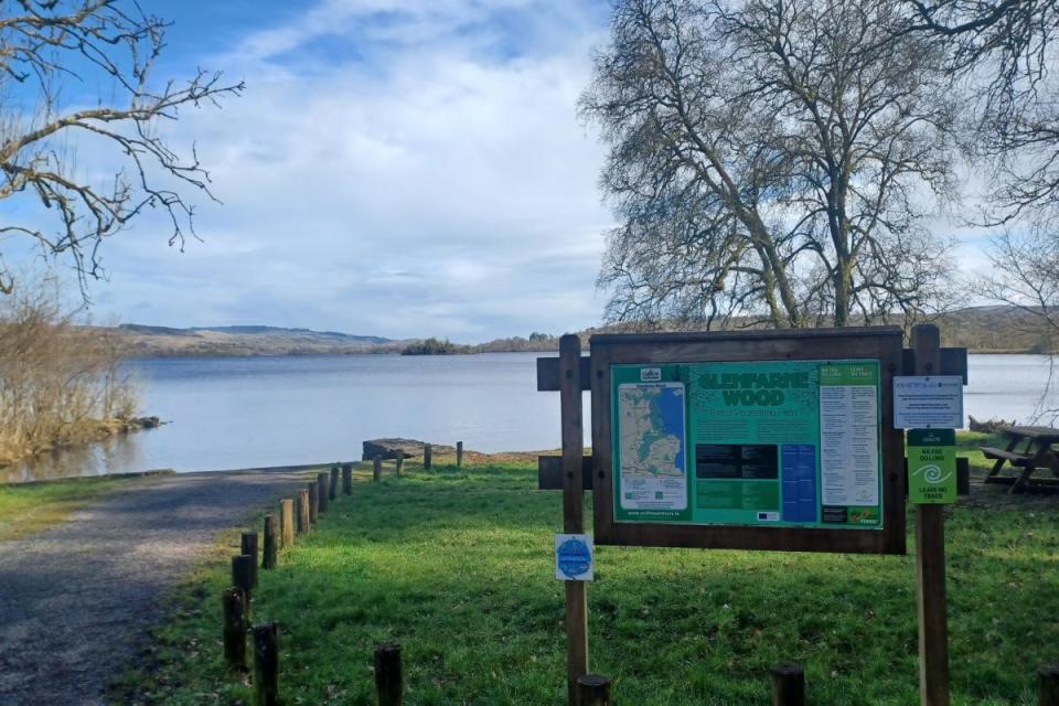 Glenfarne Wood parkrun <i>(Image: Glenfarne Wood parkrun Facebook)</i>