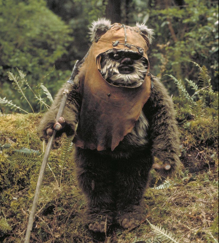 Wicket