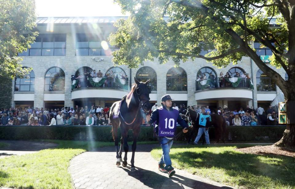 The paddock at Keeneland is a popular area for race fans to take in the beauty of the Lexington track.