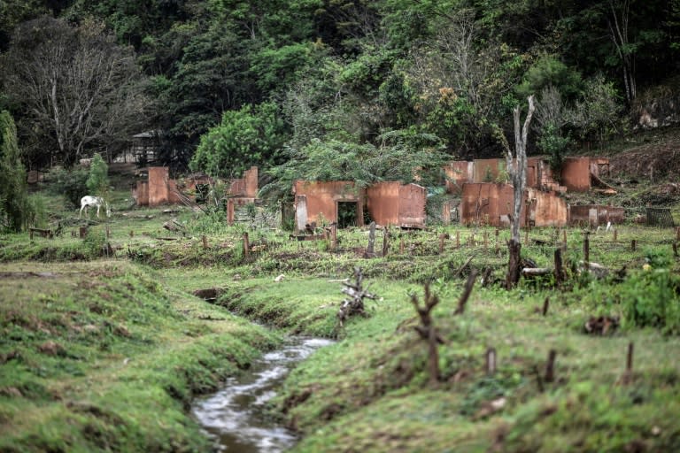 Die Bergbau-Giganten Vale und BHP haben wegen einer Dammbruchkatastrophe im Jahr 2015 in Brasilien mit 19 Todesopfern eine Entschädigung von umgerechnet rund 23 Milliarden Euro angeboten. (DOUGLAS MAGNO)