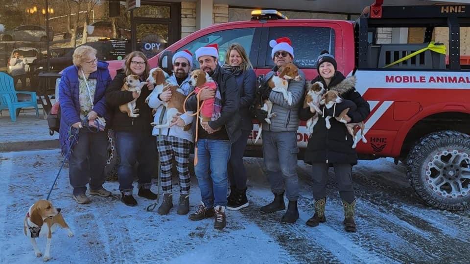 Auto Journalists Unite to Rescue 12 Dogs Just in Time for the Holidays photo