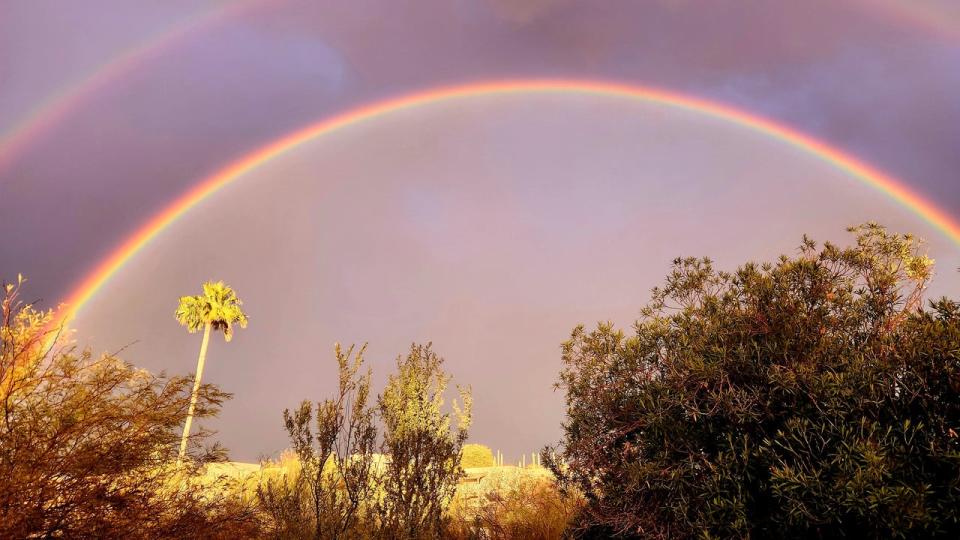 <div>Twice the happiness and beauty! Thanks so much to Mike Rapp for sharing this shot from Cave Creek</div>