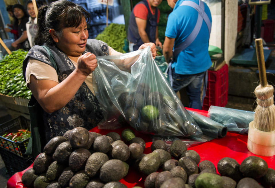 Los cultivos de esta fruta prosperan en condiciones similares a las de los pinos en los bosques de las montañas de Michoacán, el estado que produce la mayoría de los aguacates en México. Ello ha llevado a los agricultores, a escondidas de las autoridades, a despejar el bosque, sembrar los árboles de aguacate y luego seguir derribando pinos a medida que los cultivos crecen para darles más acceso a la luz solar.