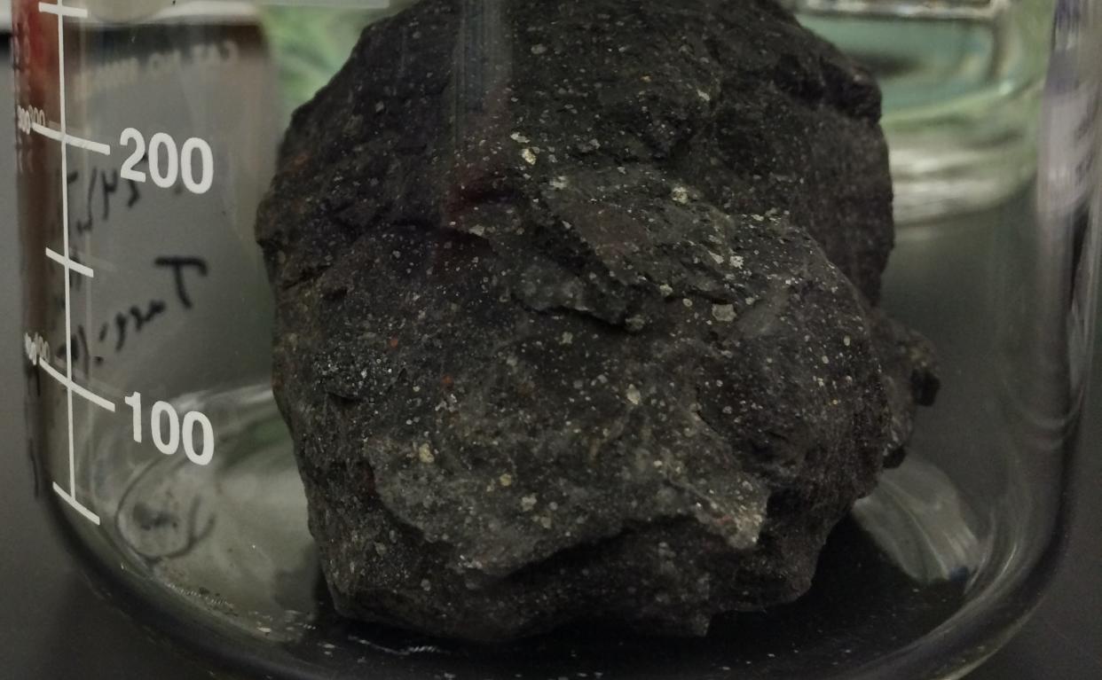 A fragment of the Murchison meteorite, one of the three carbon-rich meteorites that was sampled in this study (Daniel P. Glavin)
