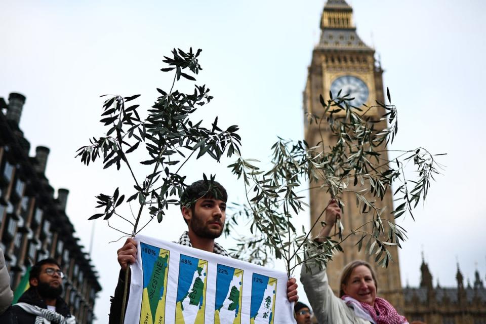Pro-Palestinian activists and supporters hold olive branches as peace symbols (AFP via Getty)