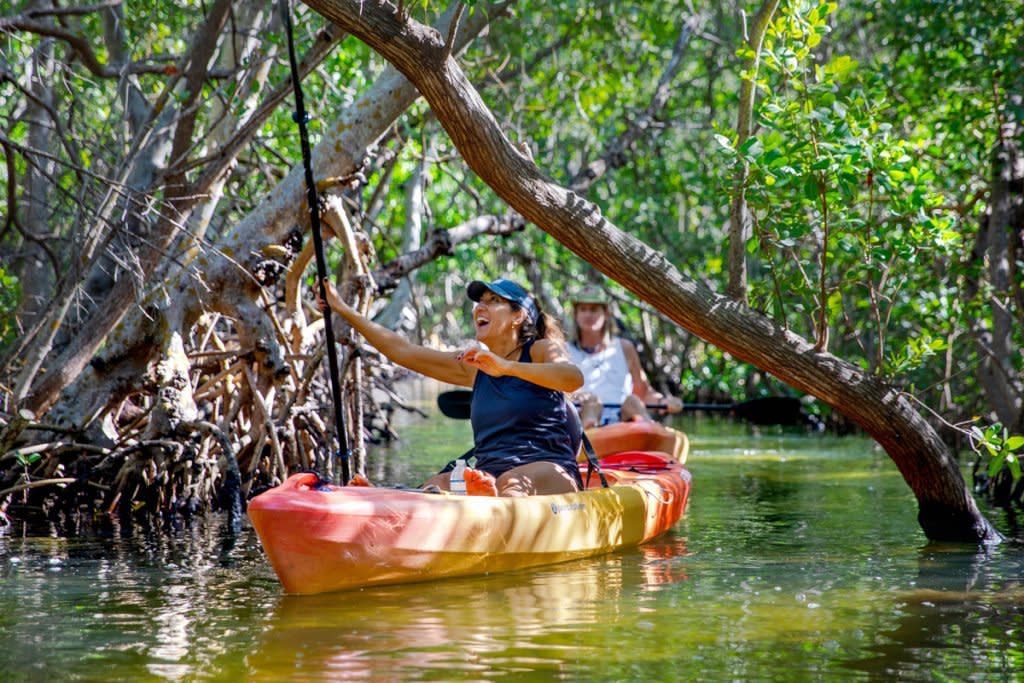 A woman wearing a hat smiles as she navigates the mangrove tunnels in an area of water in Sarasota, Fla.