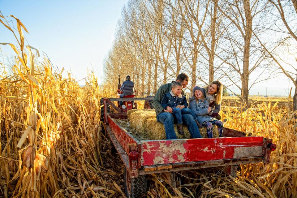 Try a hayride.