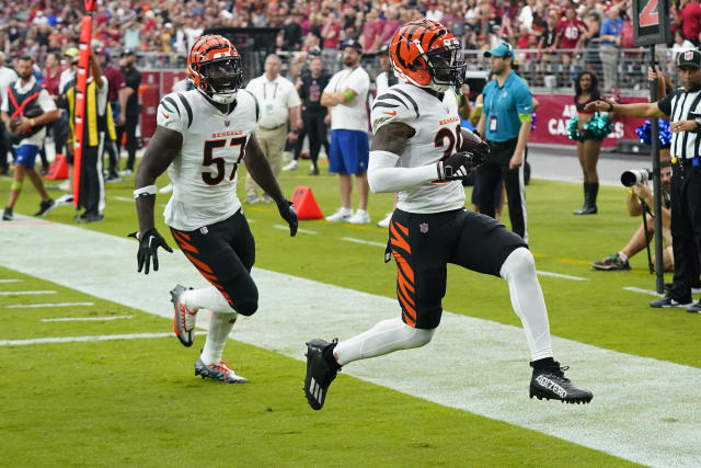 Bengals fan speaks out after touchdown ball intercepted