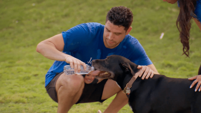 <p>ABC</p> Devin and his pooch on 'The Bachelorette'