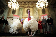 <p>Drumstick and Wishbone, the National Thanksgiving Turkey and its alternate “wingman,” are introduced during an event hosted by The National Turkey Federation at the Williard InterContinental, Nov. 20, 2017 in Washington. (Photo: Chip Somodevilla/Getty Images) </p>