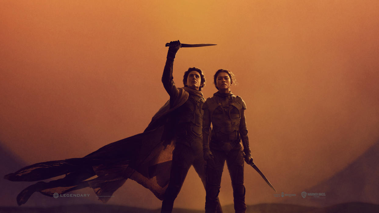  A screenshot of a Dune Part Two poster starring Paul Atreides and Chani. 