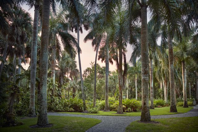 <p>Courtesy of McKee Botanical Gardens</p>