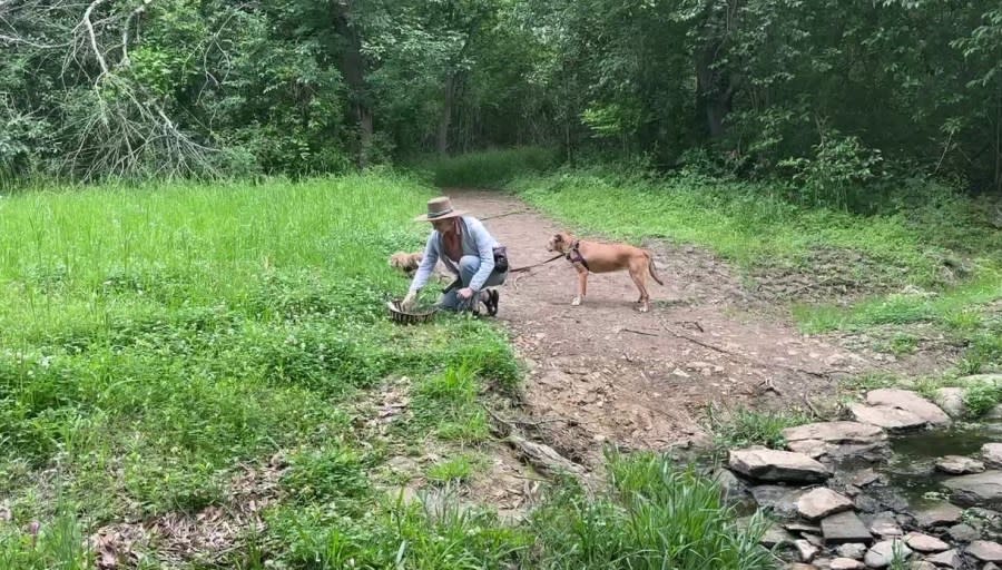 Neighbors hold vigil for dead dogs found in south Austin creek (KXAN Photo/Morganne Bailey)