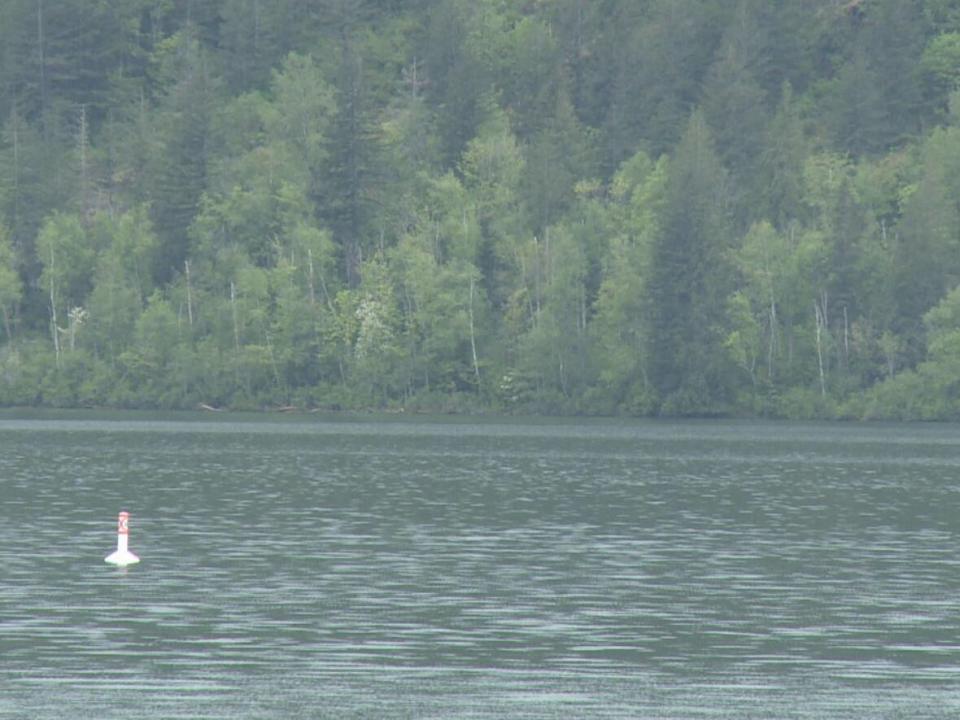 Buoys have been installed at Cultus Lake in an effort to remind boaters of speed restrictions. (CBC - image credit)