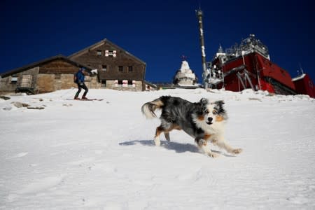 The Wider Image: Scientists race to read Austria's melting climate archive