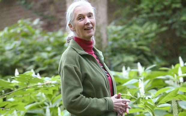 Jane Goodall<p>Getty Images</p>