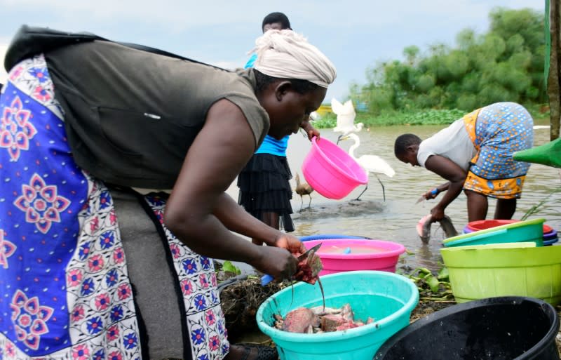 Fishmongers prepare fish at Dunga beach on the shores of Lake Victoria in Kisumu