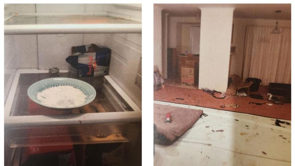 Pictured left: A bowl of white powder insdie the fridge. Pictured right: a room insde the home. Picture: COURTS SA