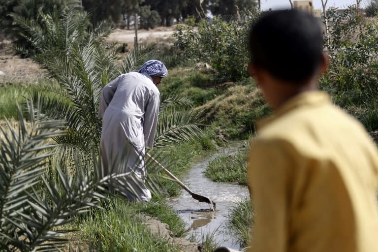 A boy watches as 73-year-old Iraqi farmer Abu Ali uses a shovel to dig in a stream of water in the village of Sayyed Dakhil, to the east of Nasariyah city some 300 kilometres (180 miles) south of Baghdad, on March 20, 2018