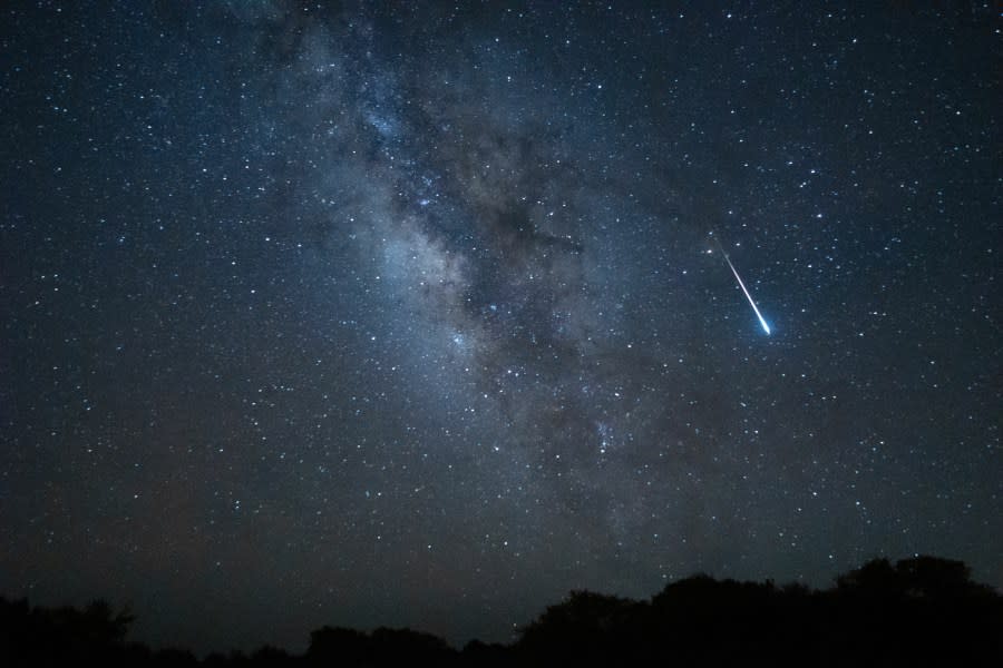 <em>Lyrid Meteor Shower (Adobe Stock) </em>